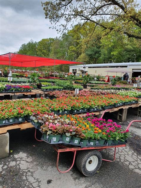 Meadow farms nurseries. Broadmeadows Farms, Dover, Delaware. 750 likes · 1 talking about this · 169 were here. Certified Organic vegetable plants are one of the many items featured in out spring offering In the Broadmeadows Farms | … 