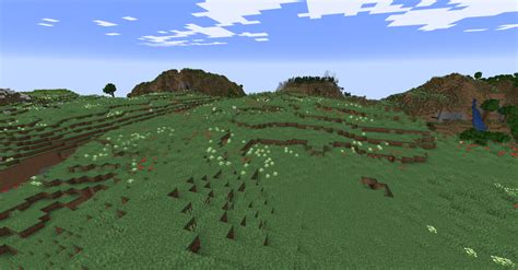 Meadow in Minecraft