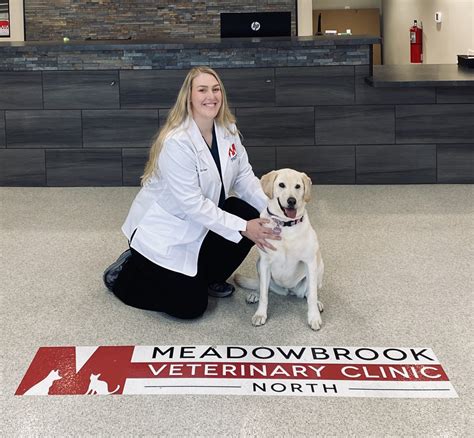 Meadowbrook vet. Explore the current Meadowbrook Veterinary Clinic policies on appointments, patient arrival, payment, boarding, and grooming. Find out more! (309) 682-6665 info@meadowbrookvet.com 1624 W War Memorial Dr, Peoria 9802 N Herriot Lane, Peoria. M-F: 7:00AM-5:30PM Sat: 8AM-12PM (Herriot Lane) 