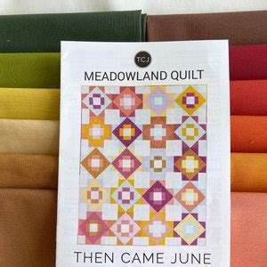 Meadowland Quilt Kit - Etsy