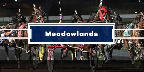 Get Expert Meadowlands Picks for today’s races. Get Equibase PPs. Power Picks stats the last 60 days: Top picks are winning at 31.9%, second picks are winning at 20.8%, and third place picks are winning 15.6%. Meadowlands Power Picks the last 14 days: 0.0% winners /