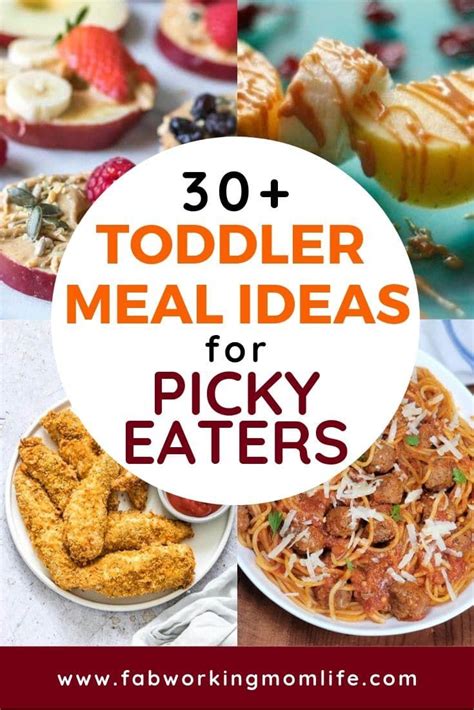 Meals for picky eaters. Read Also: 27 healthy and easy foods for extremely picky eaters. Dinner Recipes for Picky Eaters. 1. Pasta and Salad. This is a healthy dinner recipe for kids. If your kid is big on carbohydrates, this combination will make an excellent dinner recipe. 2. Black Beans Tacos and Cauliflower 