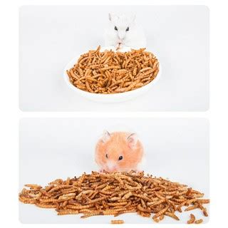 Mealworms for hamsters. Things To Know About Mealworms for hamsters. 