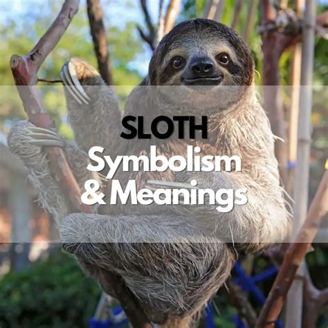 Meaning Of Sloth Sloth