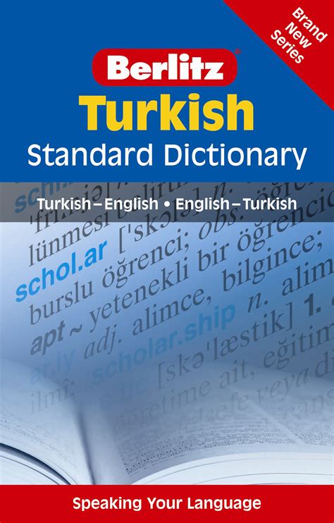 Meaning of "servis istasyonu" in the Turkish dictionary