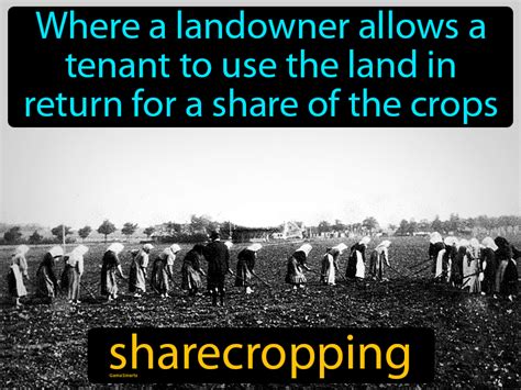 Meaning of "sharecropper" in the English dictionary