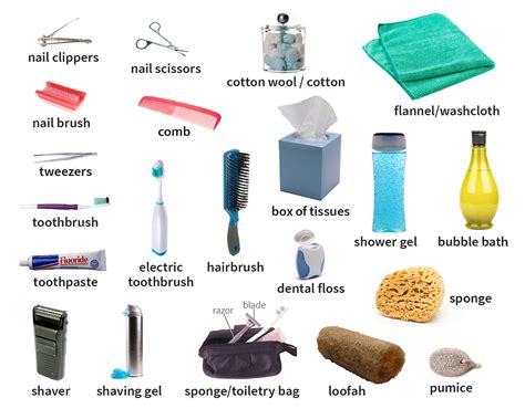 Meaning of "toiletries" in the English dictionary - Educalingo