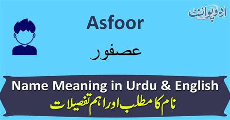 Meaning of Passeriform in Urdu - عصفور مانند / Meanings - Urdu …