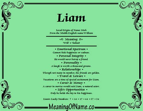 Meaning of the name Liam