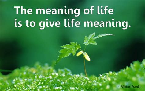 Meaning with life. Written in an accessible style, this book covers a range of topics including the distinction between meaning and happiness, the impact of meaning on health and ... 