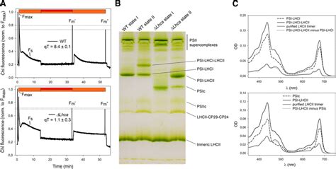 Measurement Of State I State Ii Transitions And Identification Of The Download Scientific Diagram