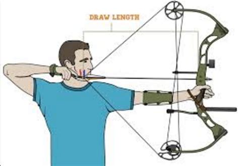 Measuring Draw Length On Bow