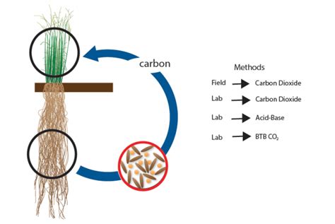 Measuring Soil Microbial Activity Wisconsin Energy Institute