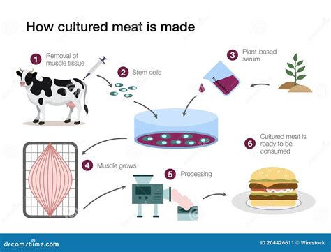 Meat Cooking Methods Animal Science