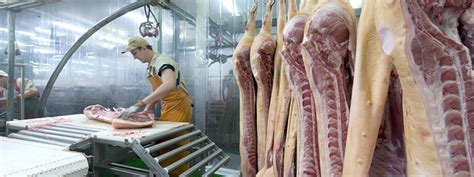 Meat Process Workers (Entry Level and Skilled) - Biloela