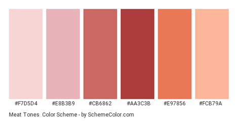 Meat Tones Color Scheme » Brown » SchemeColor.com