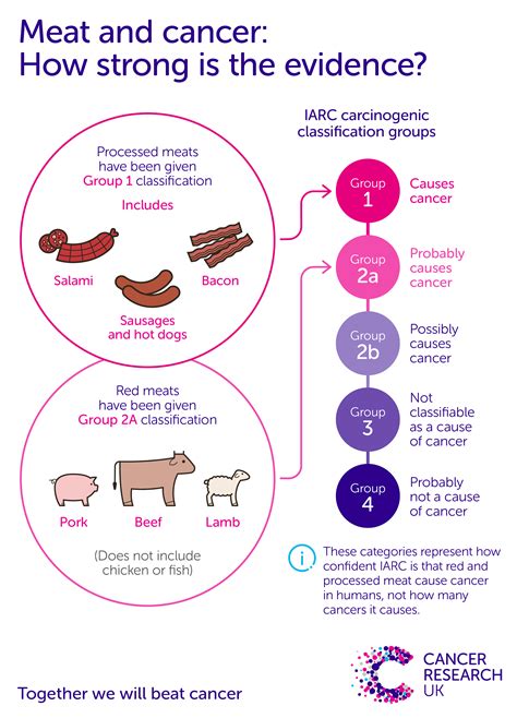 Meat and Cancer