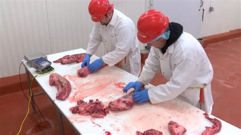 Meat processor agrees to reform hiring after two teens were found at a Minnesota plant