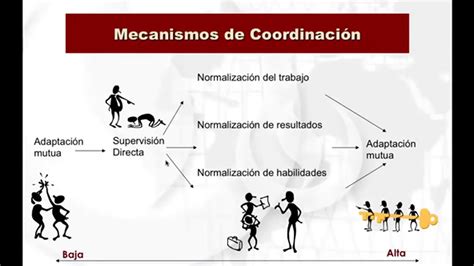 Mecanismos de coordinación de las políticas sociales. - Chapter 23 circulation study guide answers.