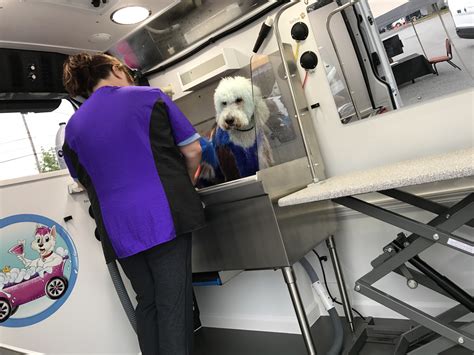 Mechanic had woman’s dog grooming business van for nearly 2 years