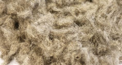 Mechanically cottonised hemp fiber