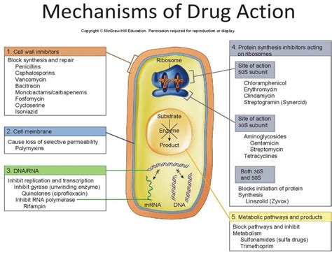 Mechanism of Action - Food and Drug Administration