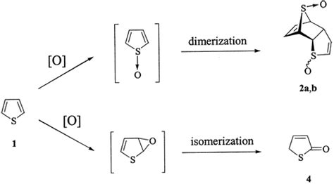 Mechanism of the aromatic hydroxylation of thiophene by acid …