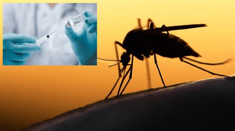 MedWatch: FDA approves first vaccine for mosquito-borne disease — and more