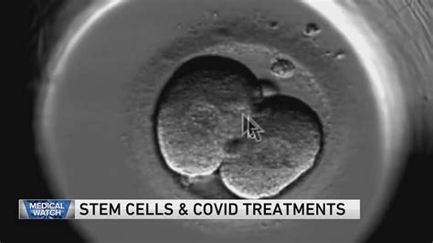 MedWatch Digest: Positive parenting, probiotic depression and stem cells role in battling COVID