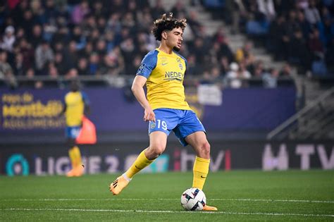 Meddah Halı ve Koltuk Yıkama