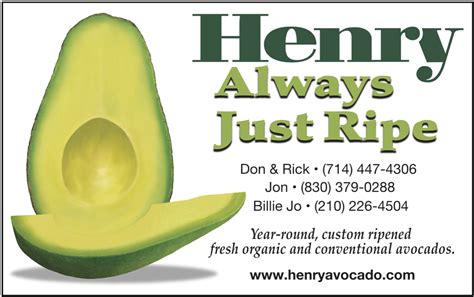 Media - Henry Avocado