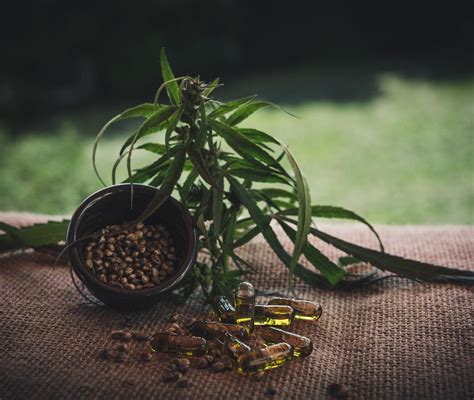 Medical Cannabis: Seed to Sale - Online Course - FutureLearn