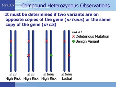 Medical Definition of Compound heterozygote - RxList