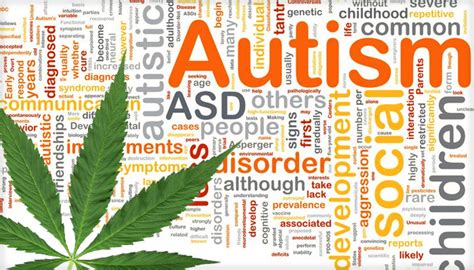 Medical Marijuana and Autism - therecoveryvillage.com