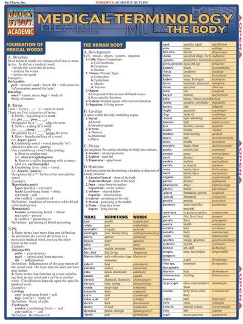 Medical Terminology Basics Boston Public Library OverDrive