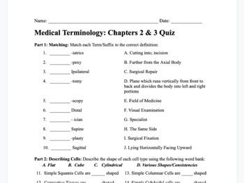 Medical Terminology Chapter 2 Game Worksheet WordMint