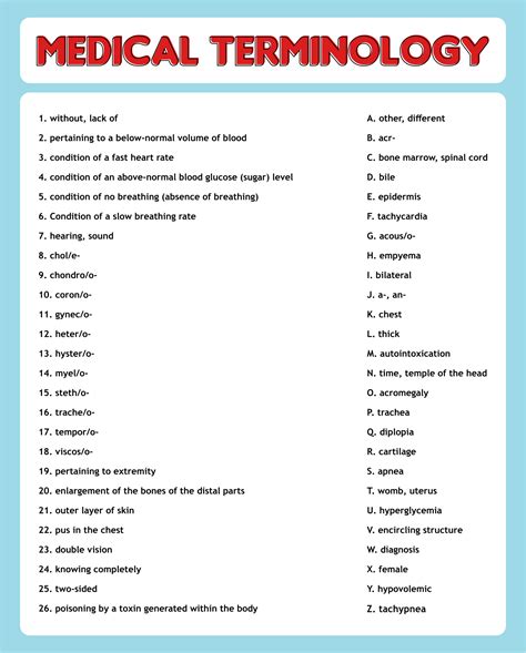 Medical Terminology Study Guide Print Out