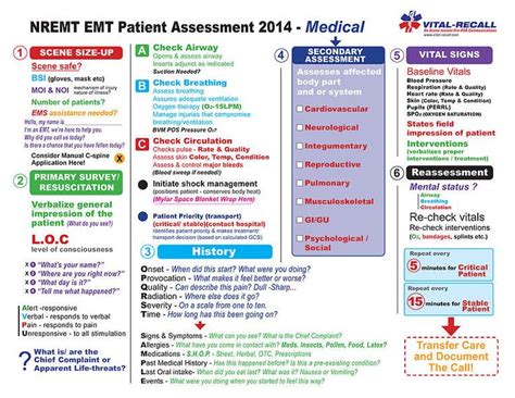 An EMT patient assessment cheat sheet is a quick reference guide that lays out the steps and components of a thorough patient assessment in the field of Emergency Medical Services (EMS). It is designed to help EMTs (Emergency Medical Technicians) remember and follow the proper sequence and techniques for assessing a patient's condition and ...