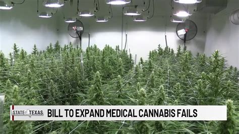 Medical cannabis expansion bill to die in Texas Senate