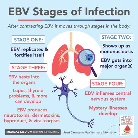 Medical medium ebv protocol.  nd continue in descending order A Reddit Communit...