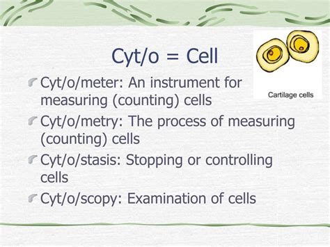 suffix-some-body. R/CF chrom/o- color. body in the nucleus that contains DNA and genes. cytoplasm. SIGH-toh-plazm. Suffix- something formed. root/suffix-cyt/o cell. Study with Quizlet and memorize flashcards containing terms like Cell, conception, cytology and more.. 