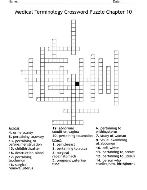 Medical term for womb - crossword puzzle clues & answers - Dan …