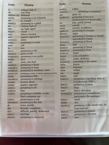 Medical terminology flashcards quizlet. .  <a href=https://tables.gravitezero.net/assets/imag...