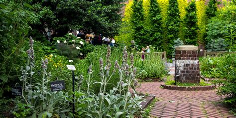 Medicinal gardens. Things To Know About Medicinal gardens. 