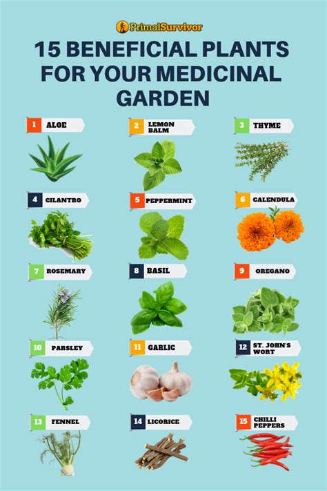 Medicinal herb essentials the essential guide for growing and using medicinal herbs for better health medicinal. - Deryck cooke the language of music.