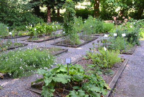 9 sept 2015 ... ... herb and medicinal plant garden on the McGill campus? When this garden first was started, beds were mostly dedicated to culinary herbs, some .... 