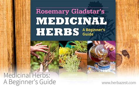 Medicinal plants a beginners guide to learning the benefits of organic herbs and plants. - Noen resultater fra undersøkelser over saging med og mot fibrene.