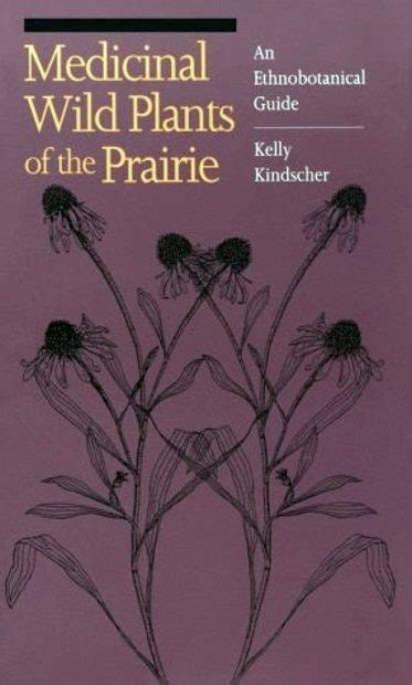 Medicinal wild plants of the prairie an ethnobotanical guide. - 2005 ford focus repair manual diesel.