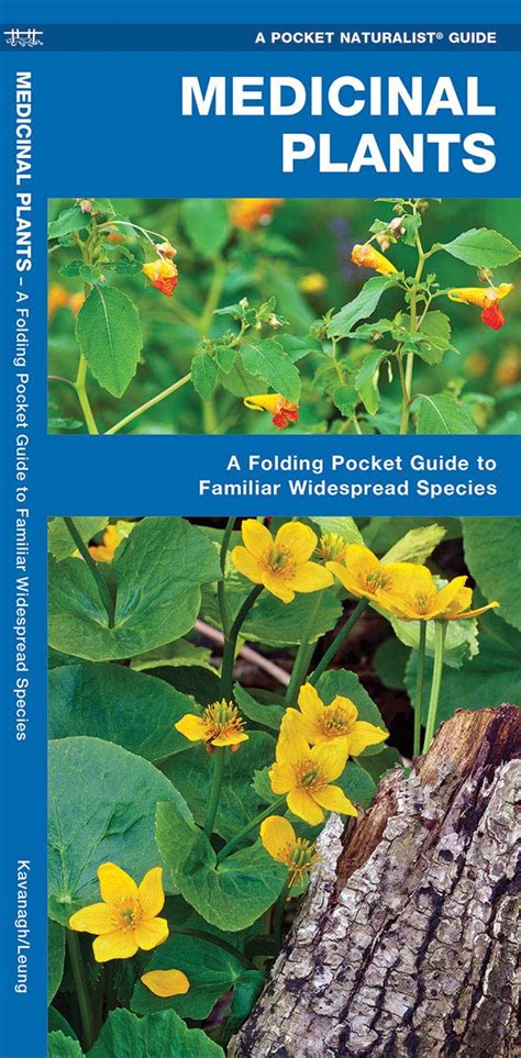 Read Online Medicinal Plants A Folding Pocket Guide To Familiar Widespread Species By James Kavanagh