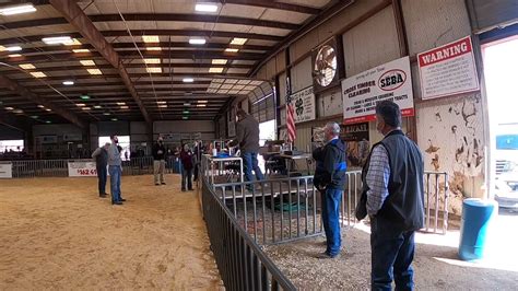 Medina County Junior Livestock Show - Home Facebook